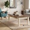 Dunleigh Two-Tone Coffee Table with 2 Drawers