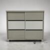 Ashford Glide 2-Door Sliding Shoe Cabinet in White Ash Oak