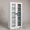 FileGuard Steel Glass Door Filing Cabinet